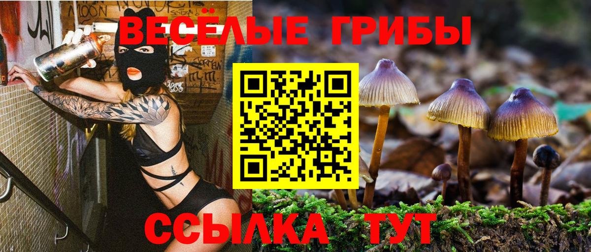Галлюциногенные грибы прущие грибы Кинель