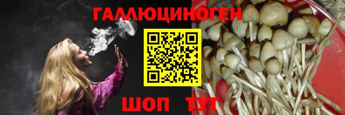 Псилоцибиновые грибы GOLDEN TEACHER  Вход с VPN  Кинель 